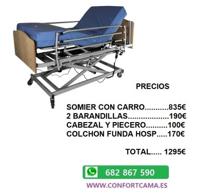 Cama hospitalaria Cama hospitalaria ajustable con ruedas y colchón, con precios detallados.
